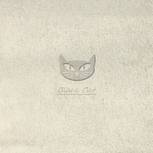 0002 ANTARA_2012 SILVER-srebrny
